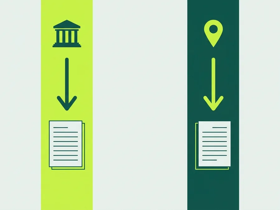 Flat illustration of two oversight paths, one federal and one state